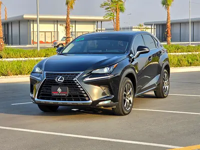2019 Lexus NX-SERIES 照片 4