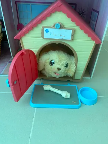 Dog toys