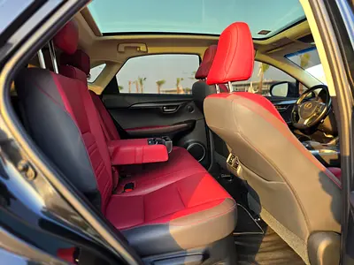 2019 Lexus NX-SERIES 照片 13