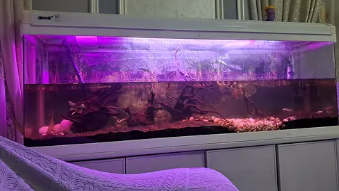 Large 150 cm Aquarium Fish Tank with Stand and Accessories