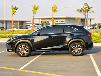 2019 Lexus NX-SERIES 照片 7