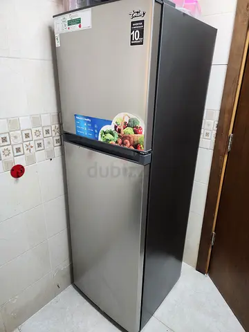 Terim Freezer Refrigerator - Stainless Steel, 2-Door, Good Condition, only 1 year use