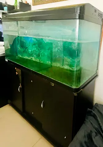 Used 4ft Aquarium Tank with Cabinet