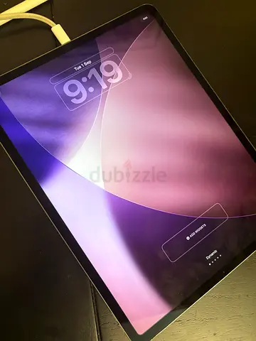iPad Pro 4th generation 12.9 inches (damaged)