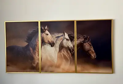 Set of 3 Framed Horse Canvas Prints — Large Wall Art