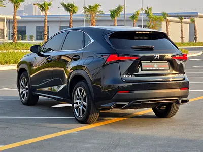 2019 Lexus NX-SERIES 照片 6