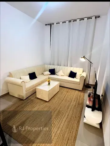 Luxury Huje Spacious Fully Furnished Appartment With All Emities in Community