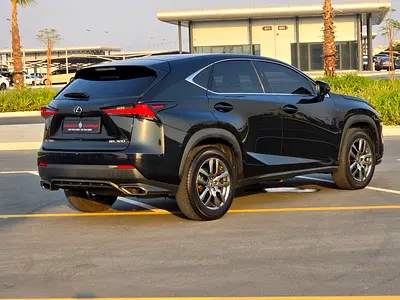 2019 Lexus NX-SERIES 照片 5