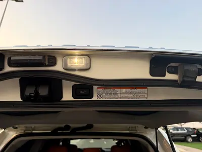 2021 Toyota LAND CRUISER 照片 15