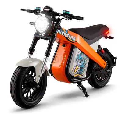 Large Electric bike