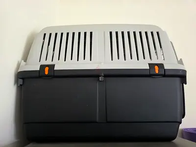 Portable Cat and Dog Pet Carrier