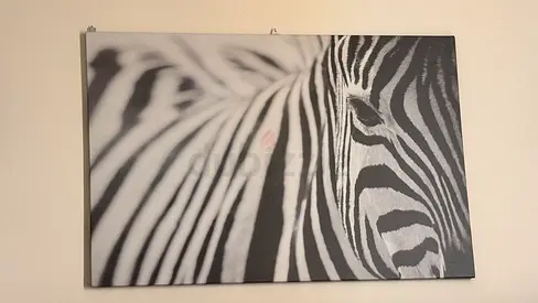 Black & White Zebra Canvas Wall Art - 1 Panel