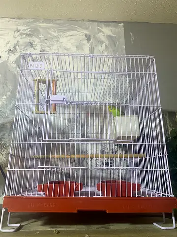 Big cage