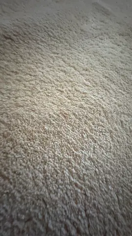 Carpets