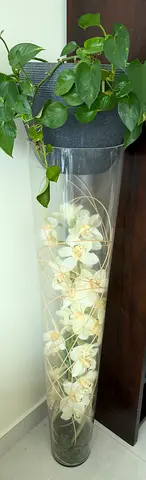 Classifieds: EXTRA-LARGE 120 CM TALL GLASS FLOOR VASE | dubizzle Abu Dhabi