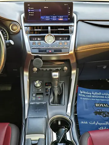 2019 Lexus NX-SERIES 照片 15