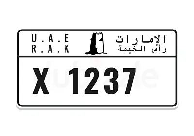 Special plate 1237 code X