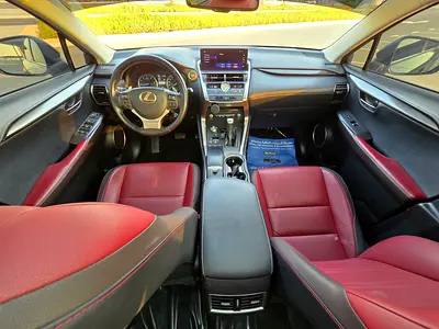 2019 Lexus NX-SERIES 照片 11