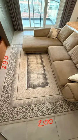 Light grey patterned area carpet 290x200 cm — gently used