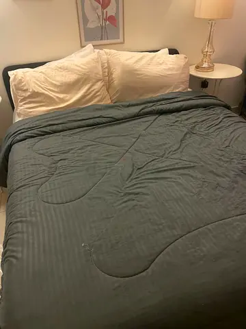 Queen Bed with Headboard and Mattress - Good Condition