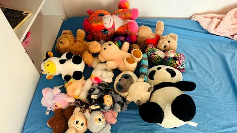 Large Collection of Soft Plush Toys- labubu collection