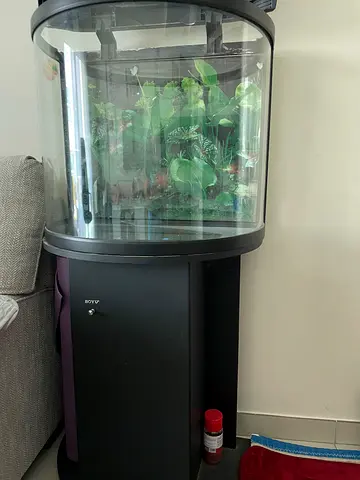 Complete Glass Aquarium with Stand and Plants