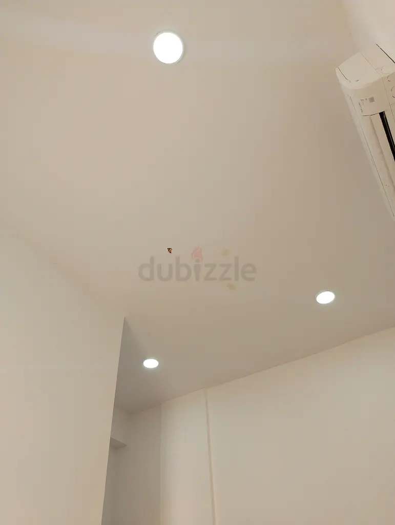 DPV_View_Image_0