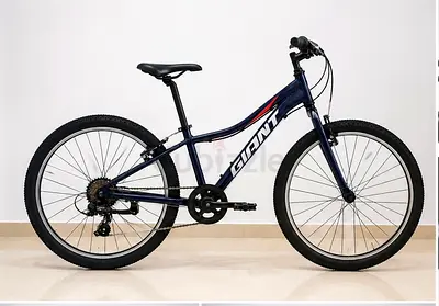 Giant Talon 24 Lite