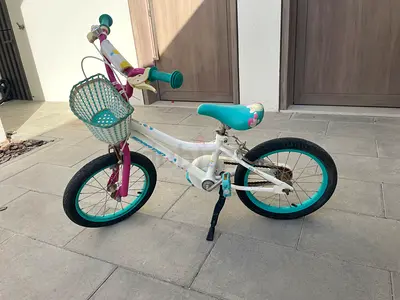 Bicycle kids 16 inch