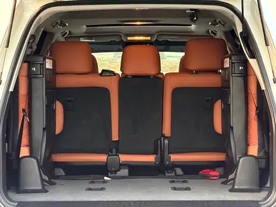 2021 Toyota LAND CRUISER 照片 13