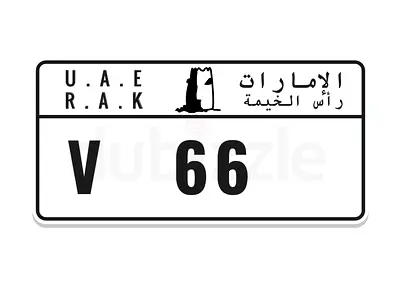 V 66