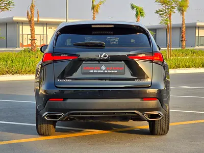 2019 Lexus NX-SERIES 照片 3
