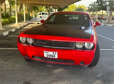 2014 Dodge CHALLENGER 照片 19