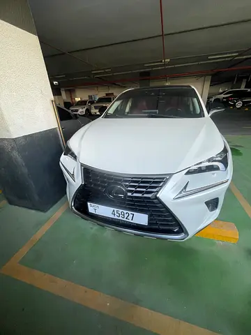 2020 Lexus NX-SERIES — фото 11