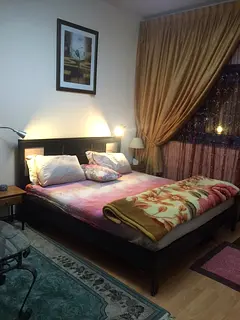 Furnished Master Room - Executive Bachelor