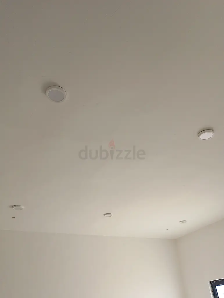 DPV_View_Image_2