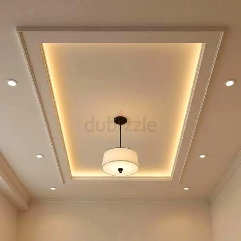 DPV_View_Image_2