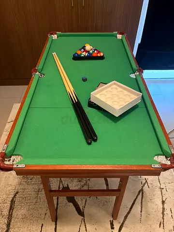2in1 Foldable Pool and Table tennis
