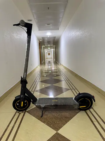 Ninebot G30 max electric scooter
