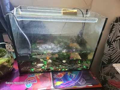 Used glass aquarium tank 60-80cm (needs cleaning)only tank