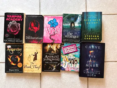 Mixed Paperback Fiction & Young Adult Book Lot (10 titles)