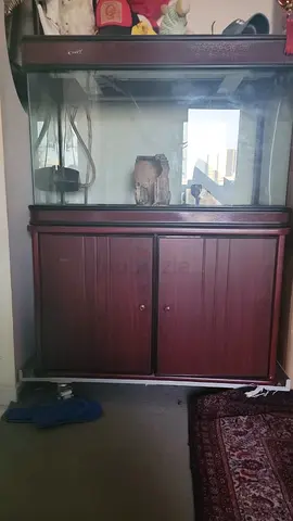 100 cm aquarium for sale