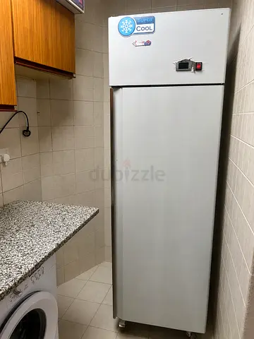 Upright Freezer – Excellent Working Condition – Clean