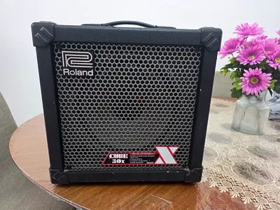 ROLAND CUBE 30X