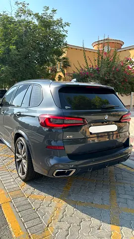 صورة 4 لـ 2022 BMW X5