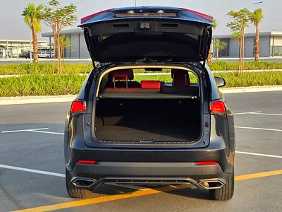 2019 Lexus NX-SERIES 照片 16