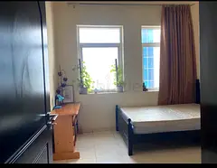 Executive Bachelor Furnished room for rent @ Shabiya 12 For AED 1900/ Monthly