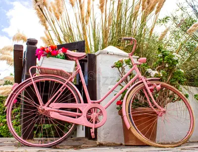 Pink bicycle