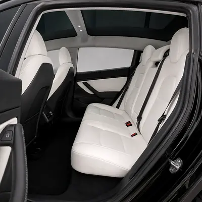 2021 Tesla MODEL 3 缩略图 16