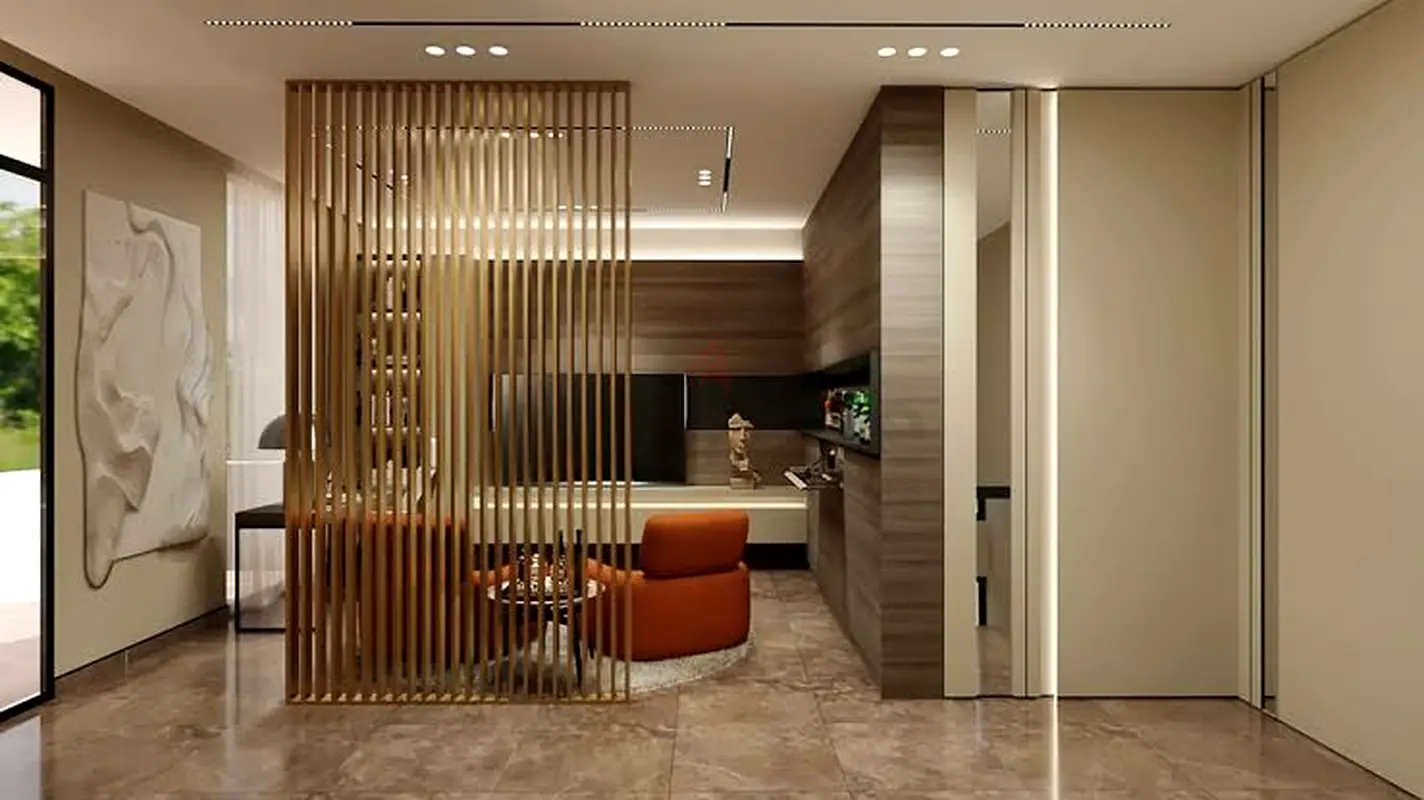 DPV_View_Image_1